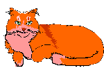 gato0019